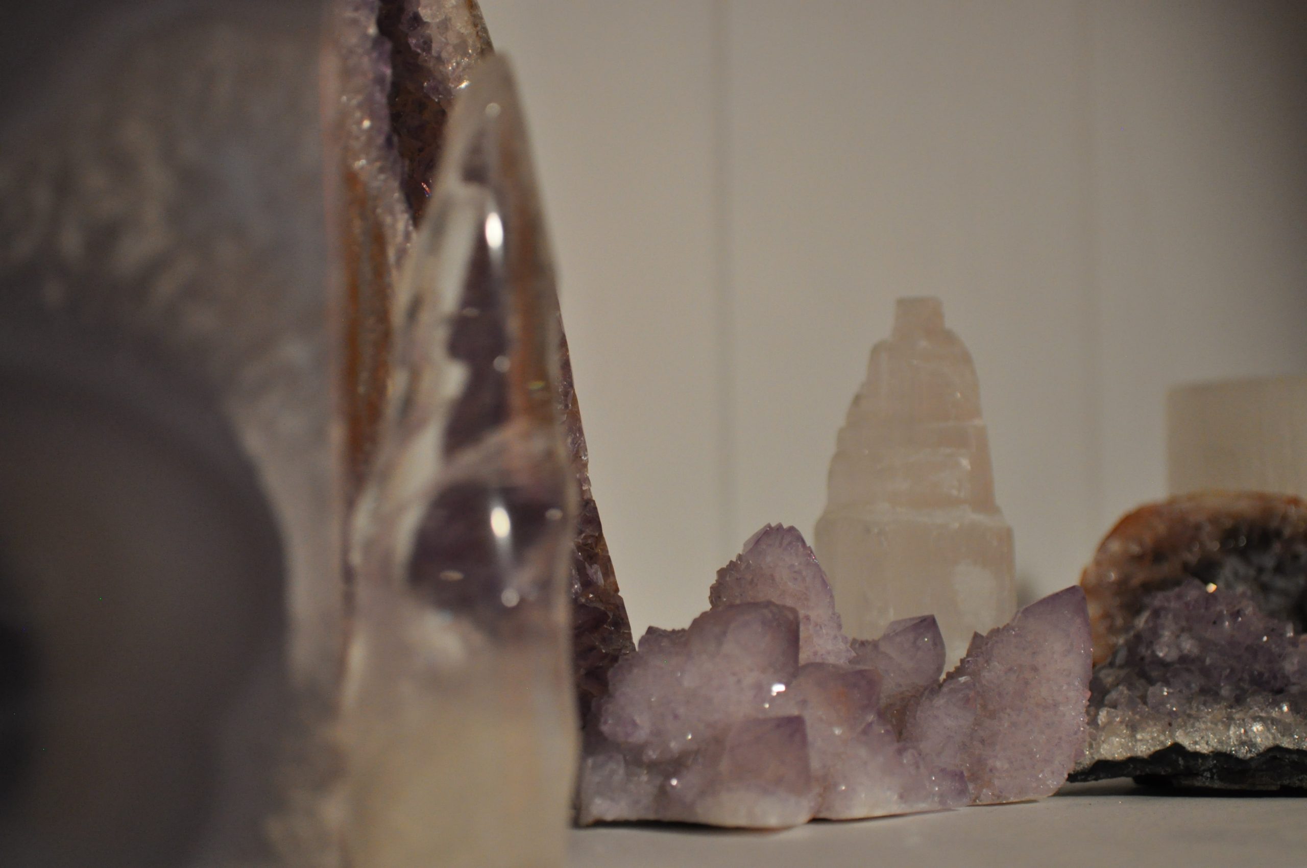 DSC_0025 Traditional Chinese Medicine