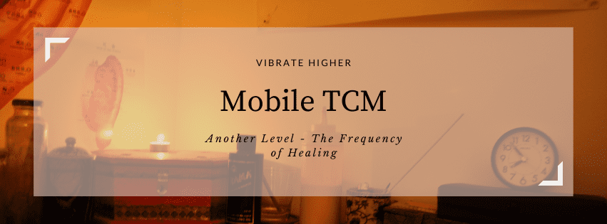 Traditional Chinese Medicine (6) Traditional Chinese Medicine